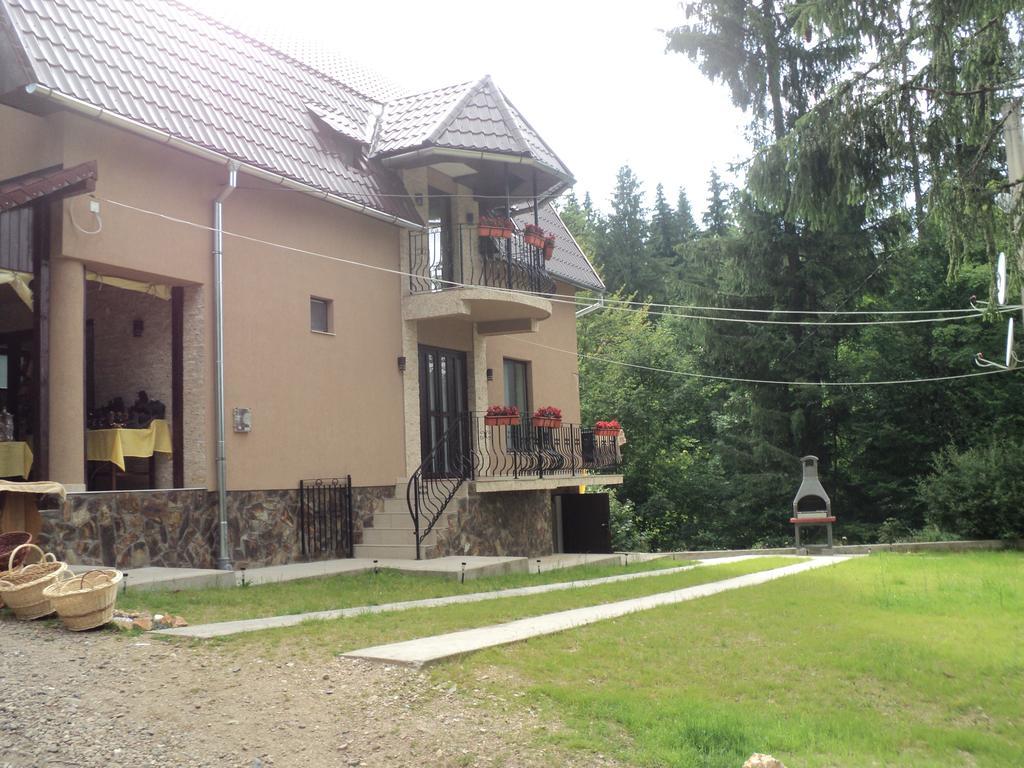Cabana Suvenirurilor Scarisoara (Alba) Exterior foto