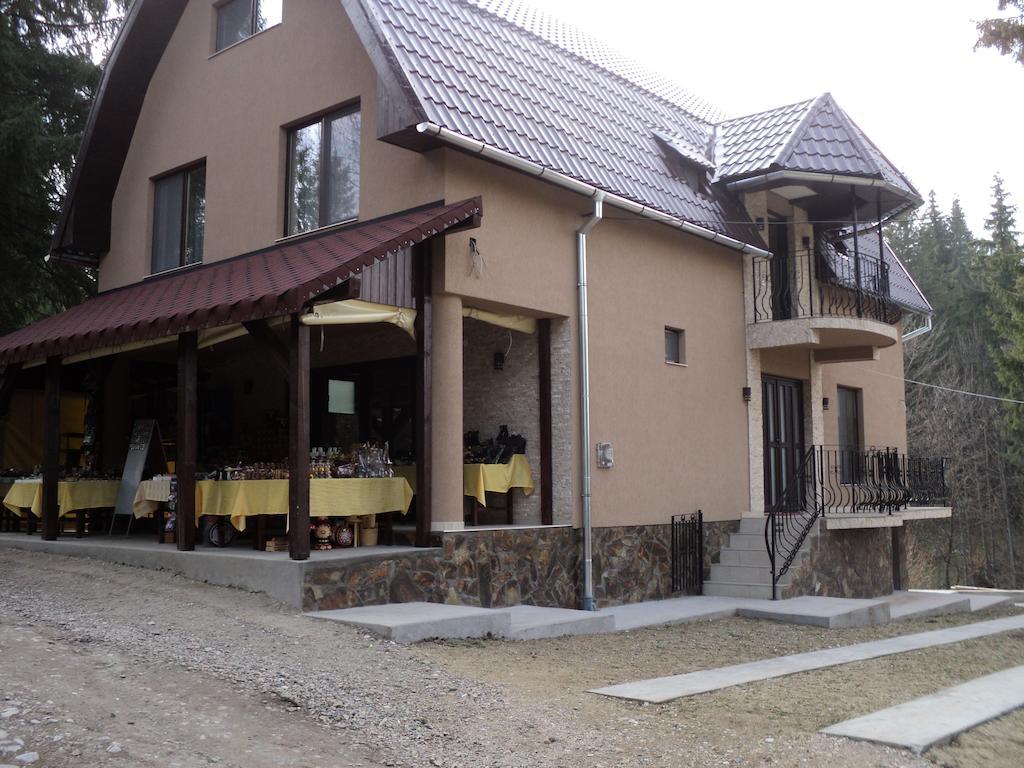 Cabana Suvenirurilor Scarisoara (Alba) Exterior foto