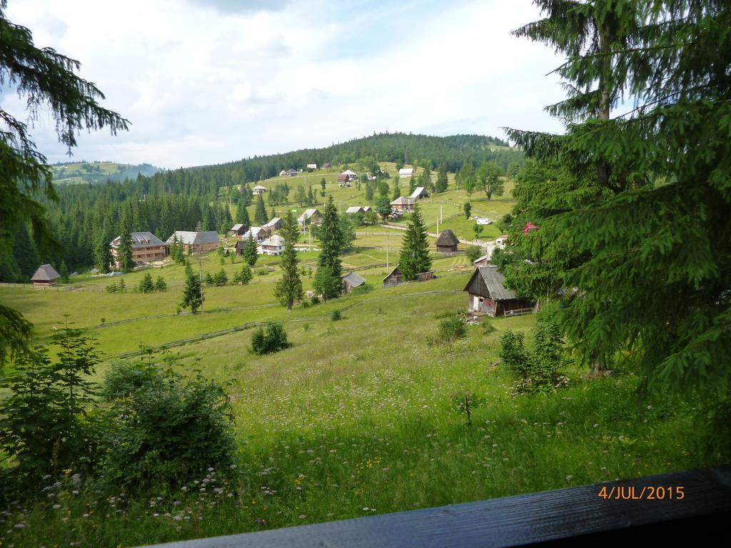 Cabana Suvenirurilor Scarisoara (Alba) Exterior foto